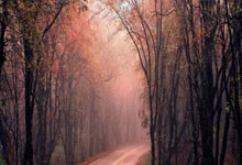 Tariffs Return to Centre Stage: What It Means for the Future - Reddit Reacts