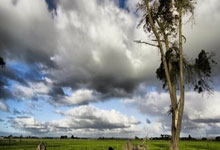 Tariffs Return to Centre Stage: What It Means for the Future - Reddit Reacts