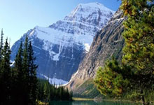 Tariffs Return to Centre Stage: What It Means for the Future - Reddit Reacts