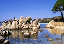 Tariffs Return to Centre Stage: What It Means for the Future - Reddit Reacts