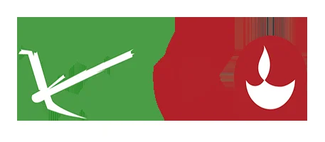 A New Gold Rush in the Digital Age: Why Physical Value is Exploding and What It Means for Our Future